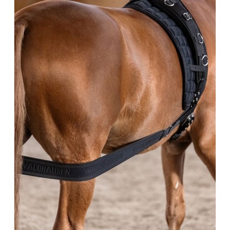 Banda Elástica Activación Posteriores Waldhausen Negro