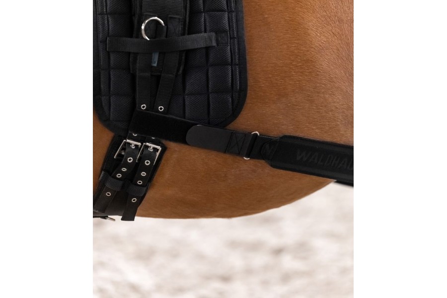 Banda Elástica Activación Posteriores Waldhausen Negro