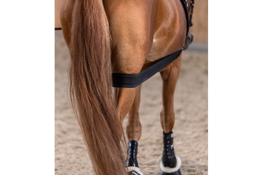 Banda Elástica Activación Posteriores Waldhausen Negro