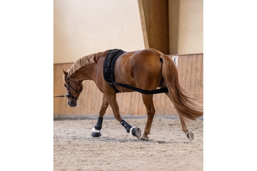 Banda Elástica Activación Posteriores Waldhausen Negro