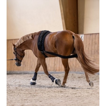 Banda Elástica Activación Posteriores Waldhausen Negro