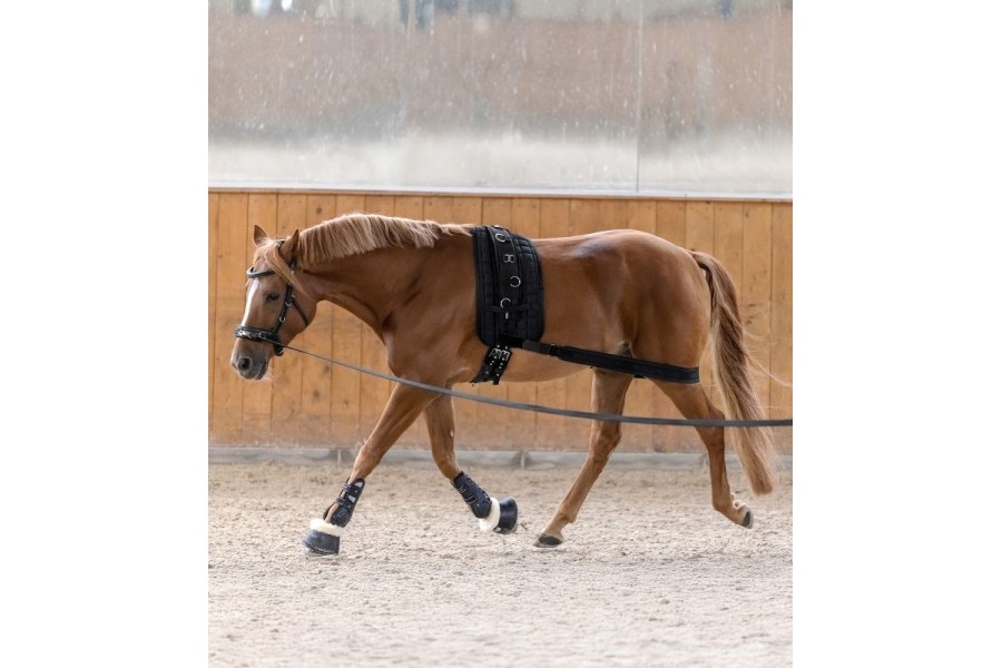 Banda Elástica Activación Posteriores Waldhausen Negro