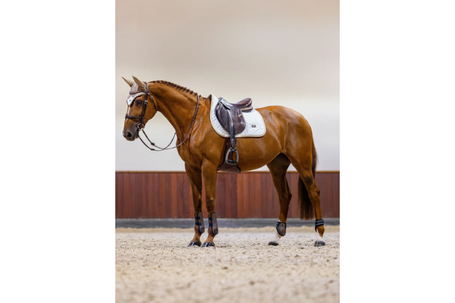 Orejeras Equestrian Stockholm Sand