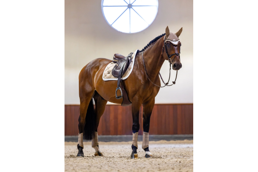 Orejeras Equestrian Stockholm Sand