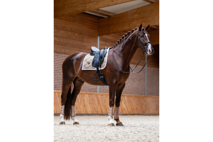 Sudadero Doma Equestrian Stockholm Sand