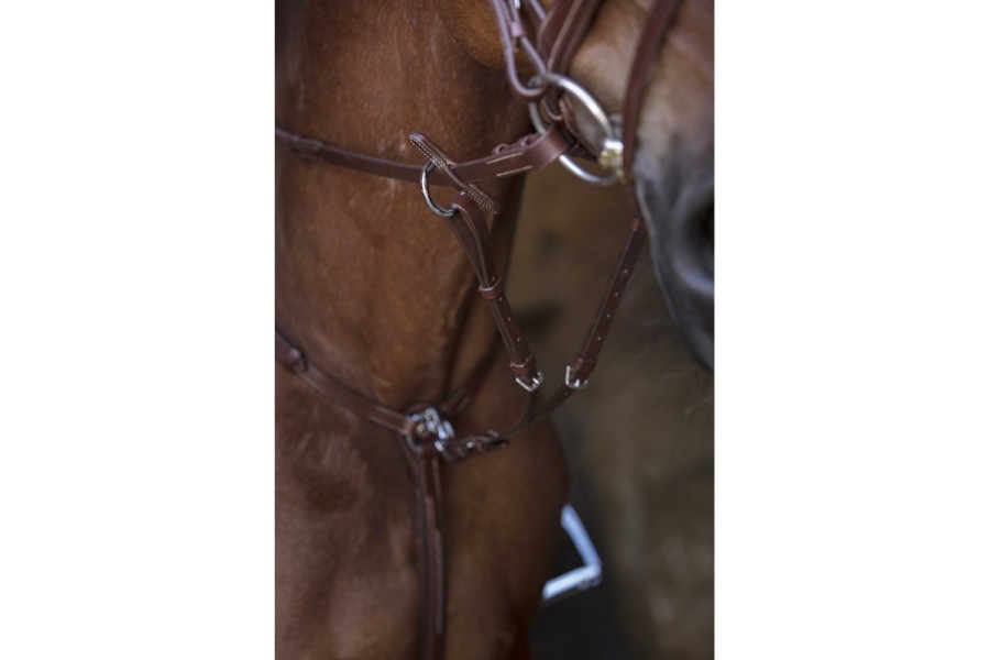 Pitpetral Norton Pro Havana