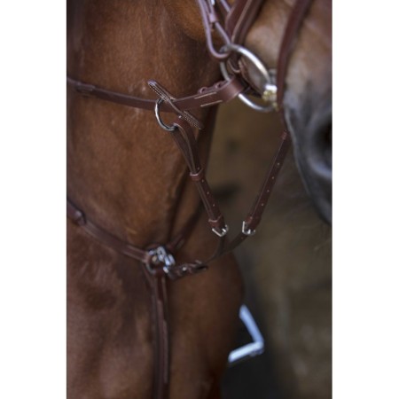 Pitpetral Norton Pro Havana