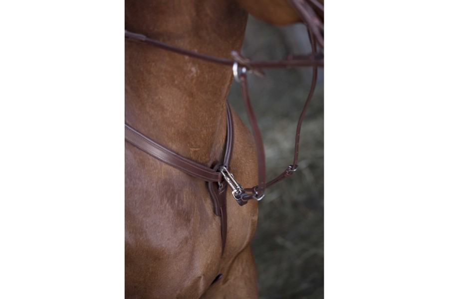 Pitpetral Norton Pro Havana