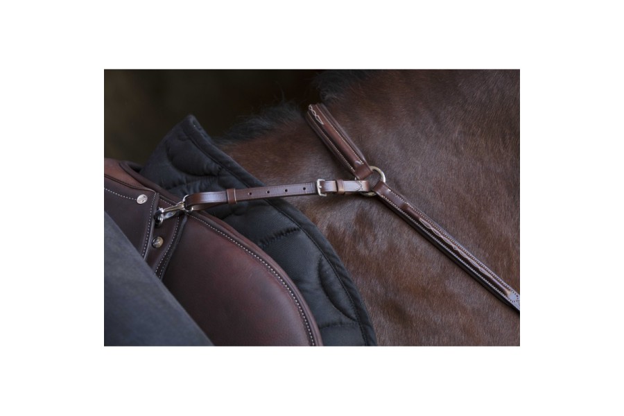 Pitpetral Norton Pro Havana