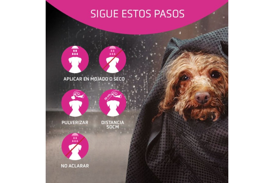 Acondicionador Flash 300 Ml