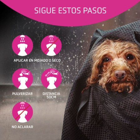 Acondicionador Flash 300 Ml