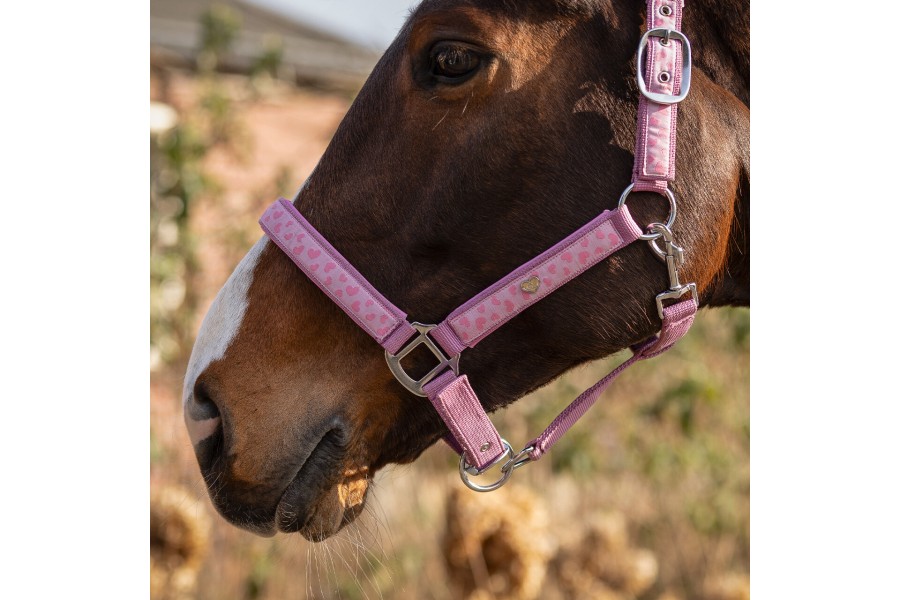 Morralla Quadra QHP Lyvia Rosa