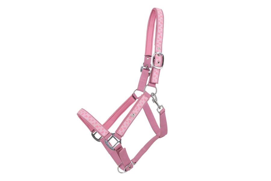 Cabezada Cuadra QHP Lyvia Rosa