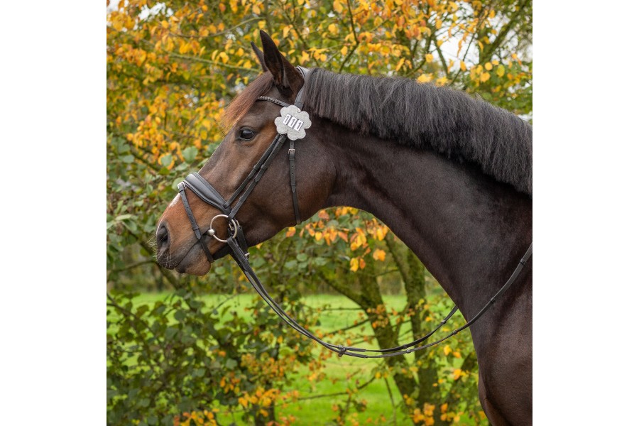 Números Competició QHP Clover Plata