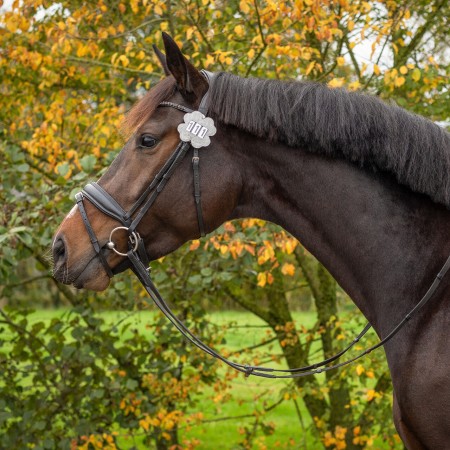 Números Competició QHP Clover Plata