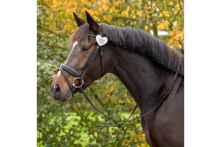 Números Competició QHP Cor Plata