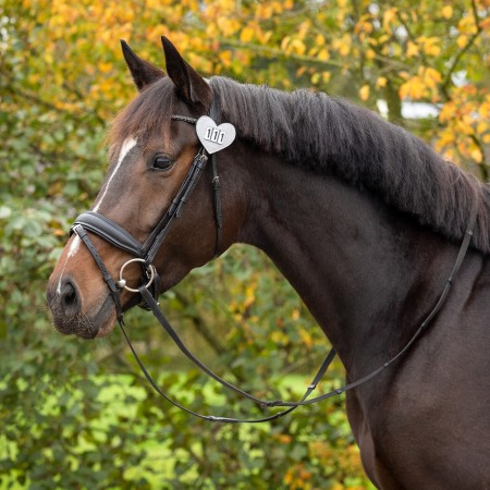 Números Competició QHP Cor Plata