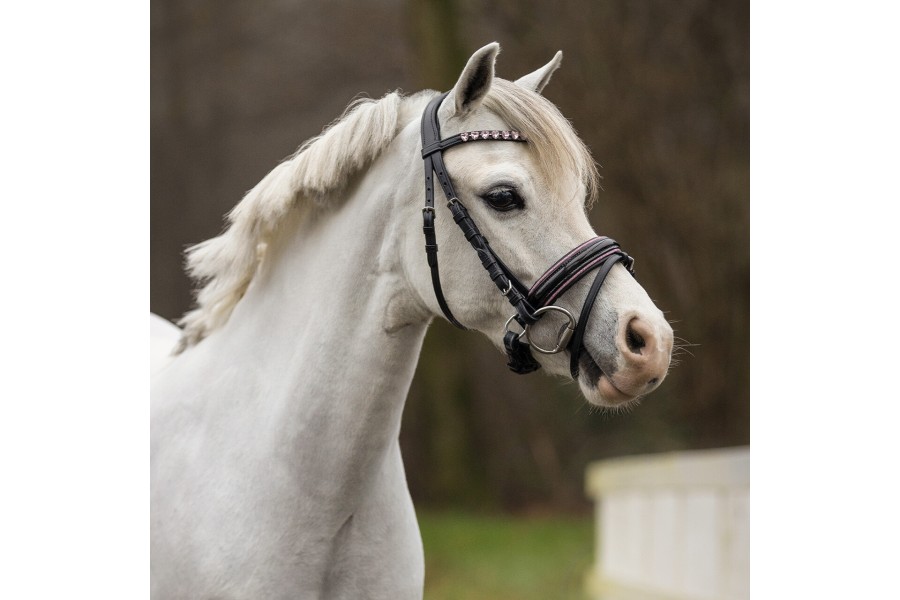 Morralla Muntar QHP Bixie Negra/Rosa