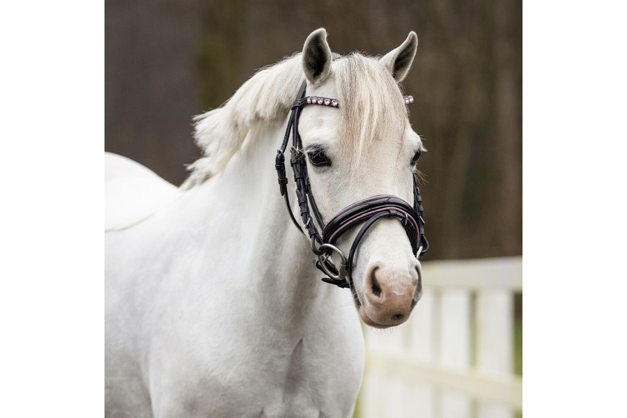 Morralla Muntar QHP Bixie Negra/Rosa