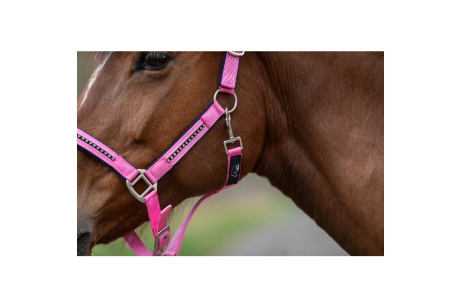 Cabezada Quadra HKM+Cuerda -Crystal- Poni Rosa Azul M.