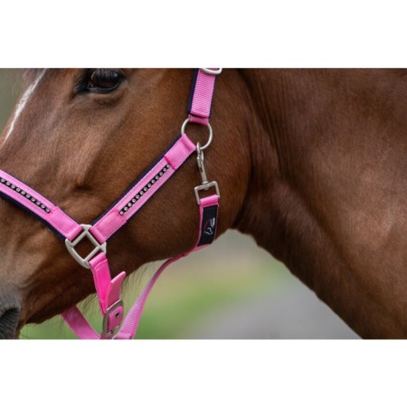 Cabezada Quadra HKM+Cuerda -Crystal- Poni Rosa Azul M.