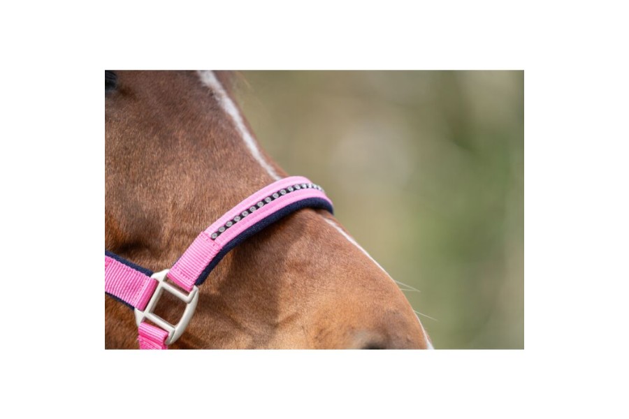 Cabezada Quadra HKM+Cuerda -Crystal- Poni Rosa Azul M.