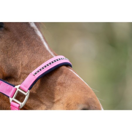 Cabezada Quadra HKM+Cuerda -Crystal- Poni Rosa Azul M.