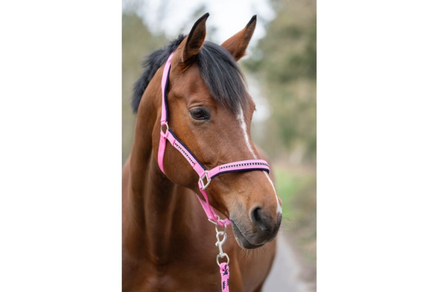 Cabezada Quadra HKM+Cuerda -Crystal- Poni Rosa Azul M.