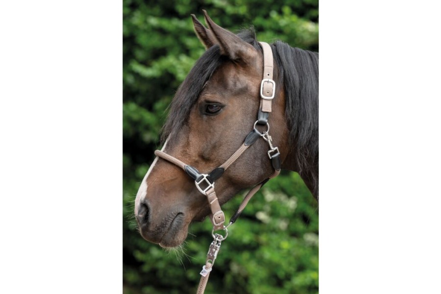 Cabezada Cuadra HKM Carlotta Taupe