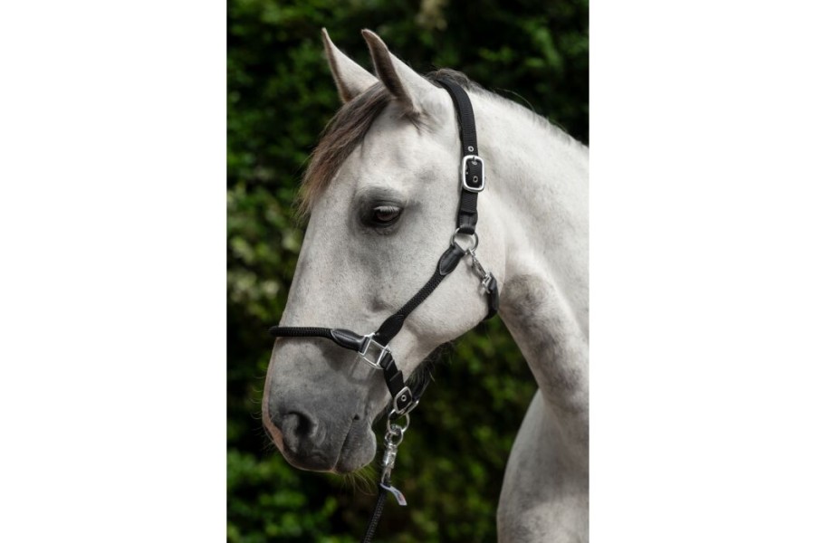 Morralla Quadra HKM Carlotta Negra