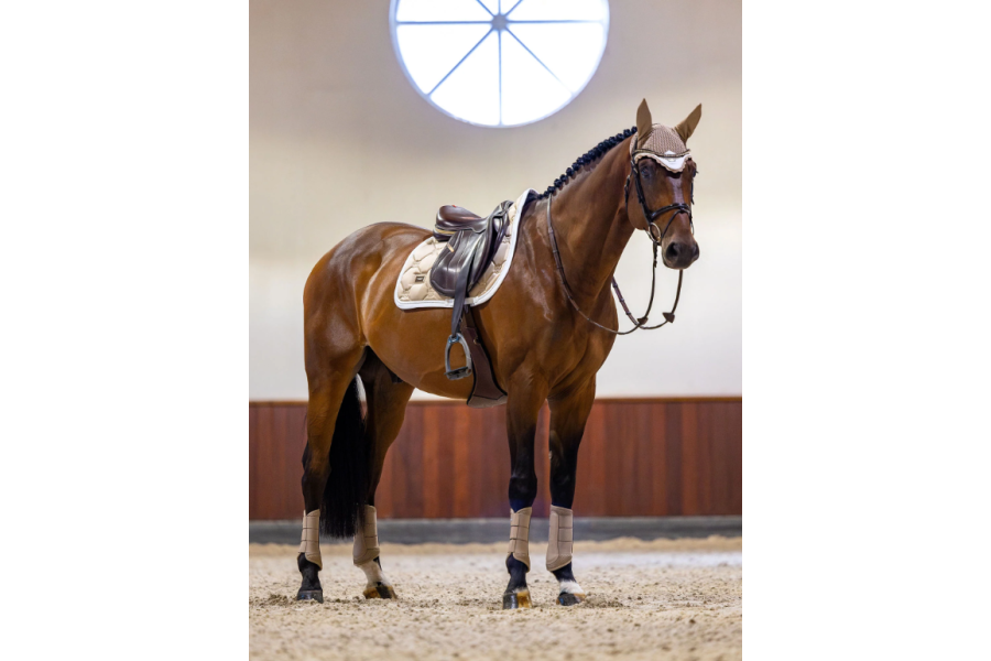 Suador Salt Equestrian Stockholm Sand