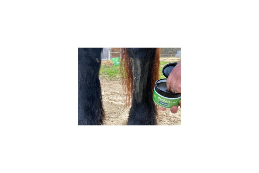 Derfen Original Cream 300ml