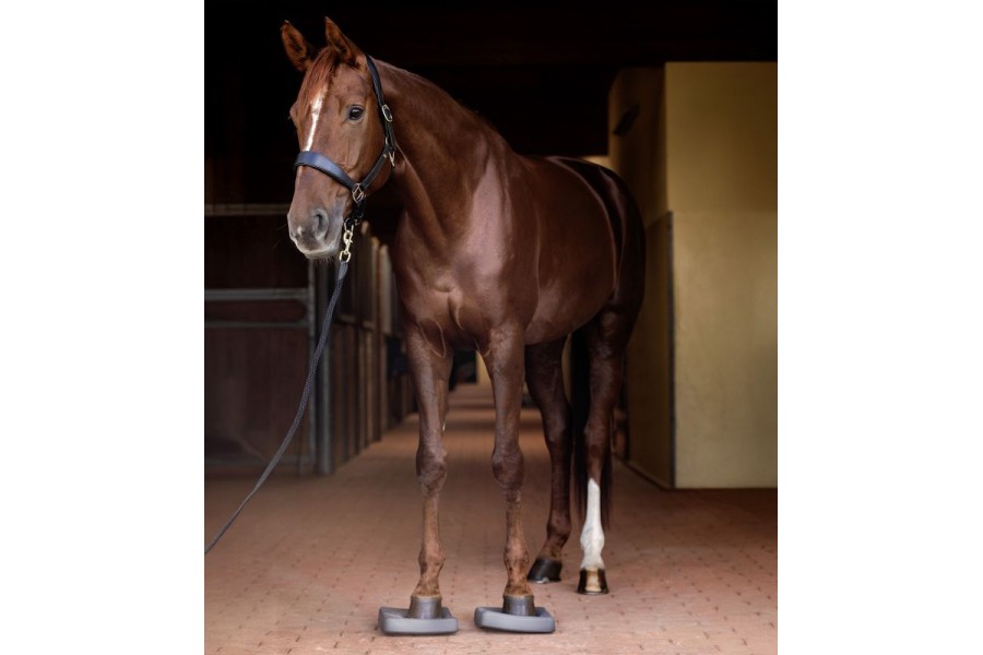 Almohadillas Balance Waldhausen Health + Care 2 Unidades