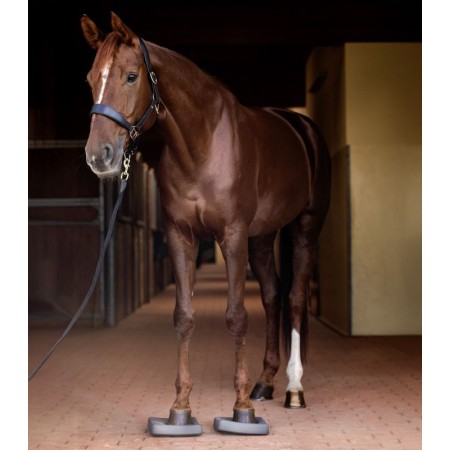 Coixinets Balance Waldhausen Health + Care 2 Unitats