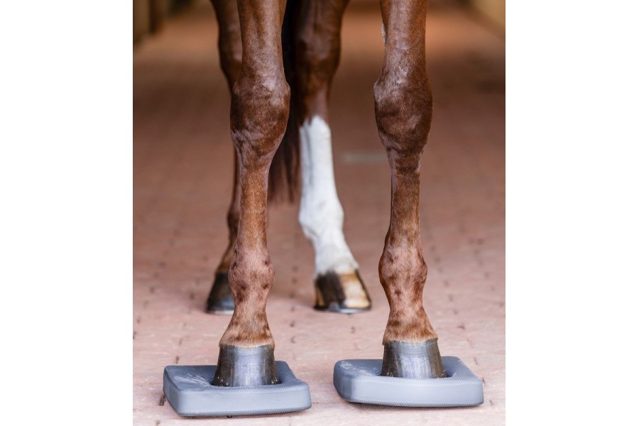 Coixinets Balance Waldhausen Health + Care 2...