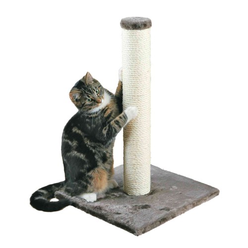 Rascador Trixie Parla 62 Cm Gris per gats | Calvet Animals i Plantes 2