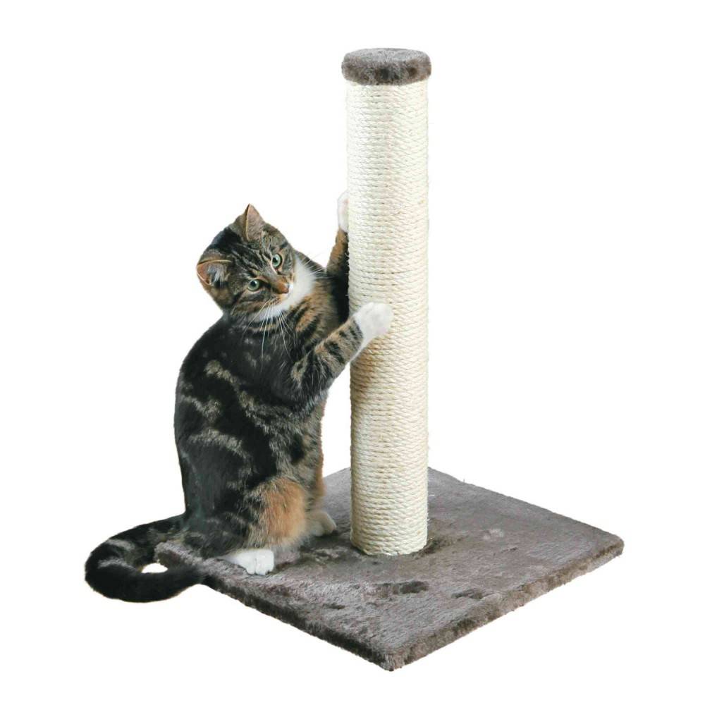 Rascador Trixie Parla 62 Cm Gris para gatos | Calvet Animales y Plantas