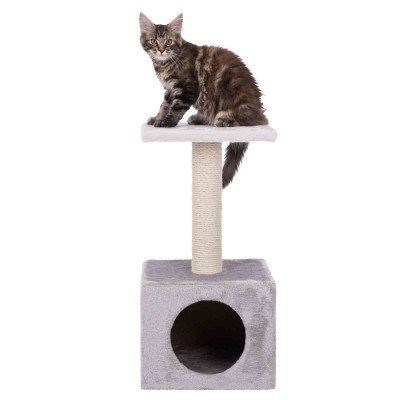 Rascador Trixie Zamora 61 Cm Beige para gatos | Calvet Animales y Plantas
