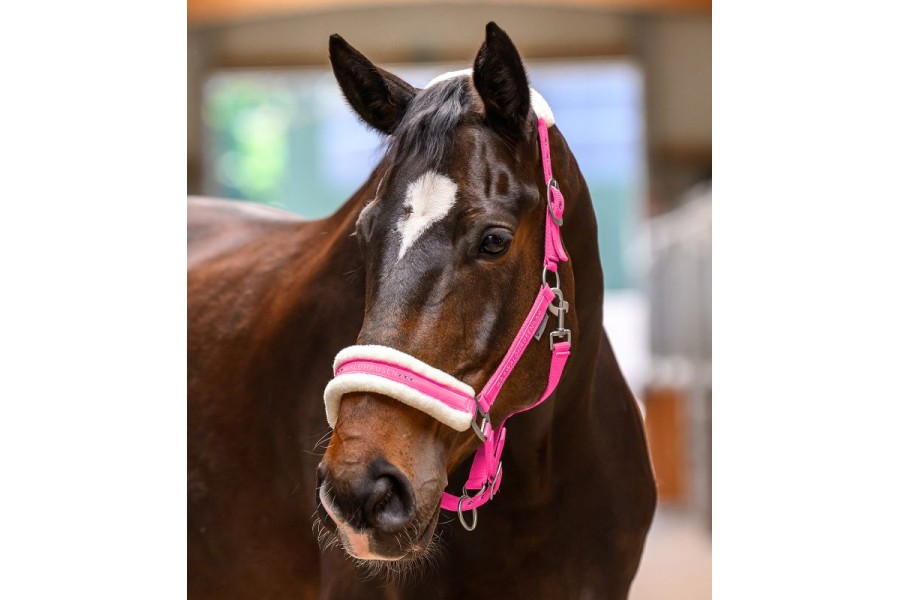 Morralla Quadra Waldhausen Elegant Rosa