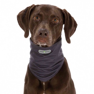 Bandana Repelent Insect Shield Gris per gossos | Calvet Animals i Plantes