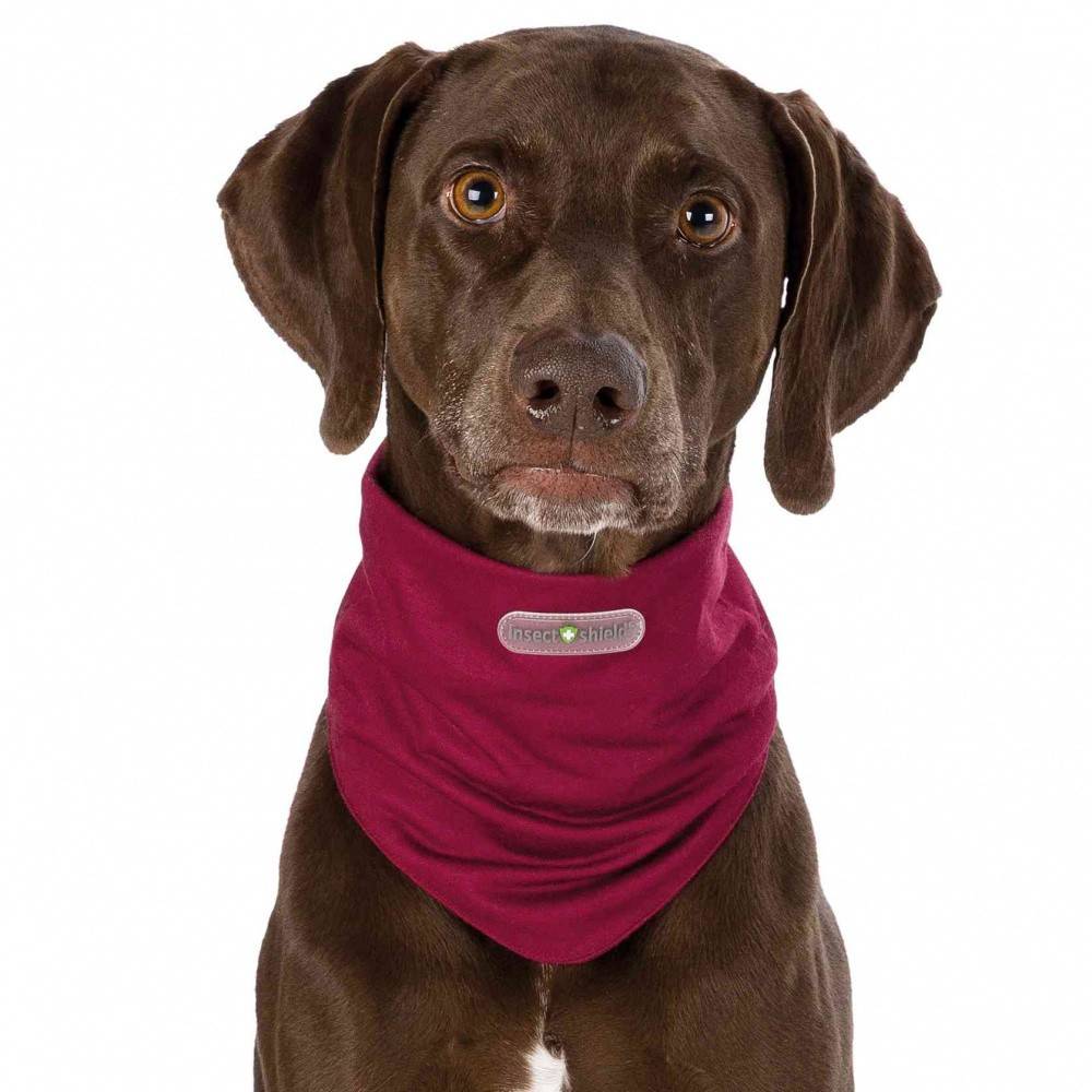 Bandana Repelente Insect Shield Burdeos para perros | Calvet Animales y Plantas