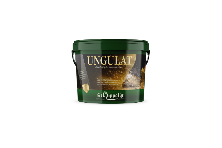 St Hippolyt Ungulat