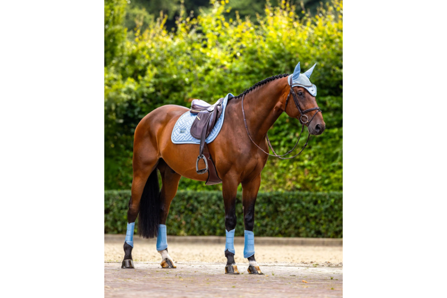 Suadadero Salto Equestrian Stockholm Modern Midsummer Blue