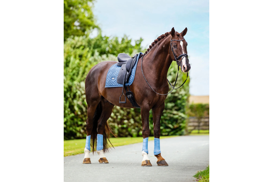 Suadadero Doma Equestrian Stockholm Modern Midsummer Blue