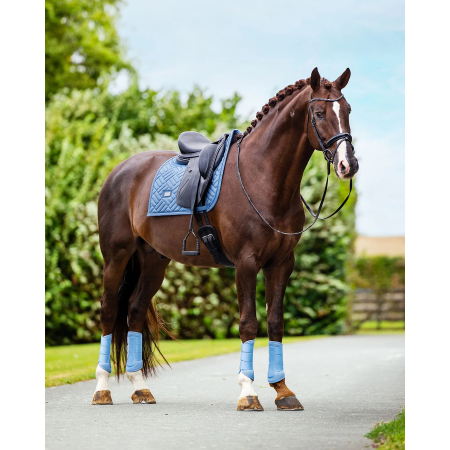 Suadadero Doma Equestrian Stockholm Modern Midsummer Blue
