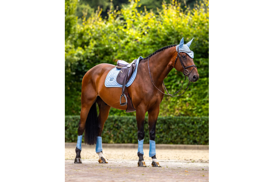Orejeras Equestrian Stockholm Modern Midsummer Blue