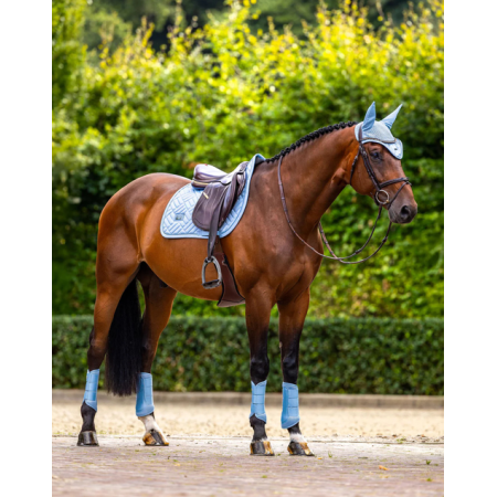 Orejeras Equestrian Stockholm Modern Midsummer Blue
