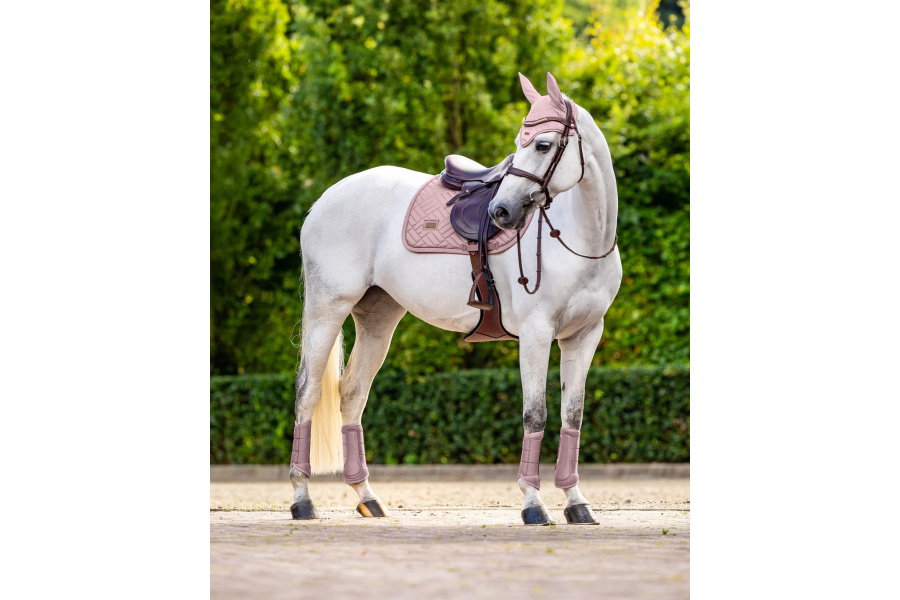 Suadadero Salto Equestrian Stockholm Modern Midsummer Blush