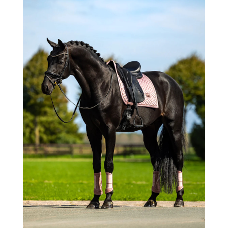 Suadadero Doma Equestrian Stockholm Modern Midsummer Blush 2