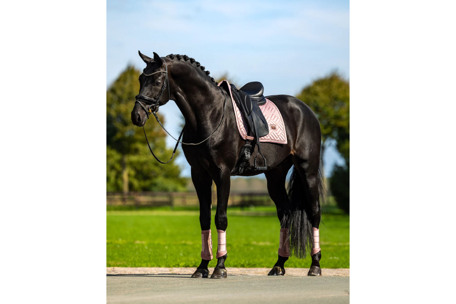 Suador Doma Equestrian Stockholm Modern...